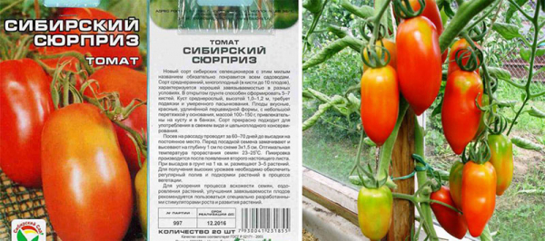 Семена лучших сортов томатов для Сибири для получения щедрого урожая